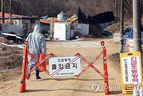 Gov’t to strengthen swine flu response after virus detected in livestock feed